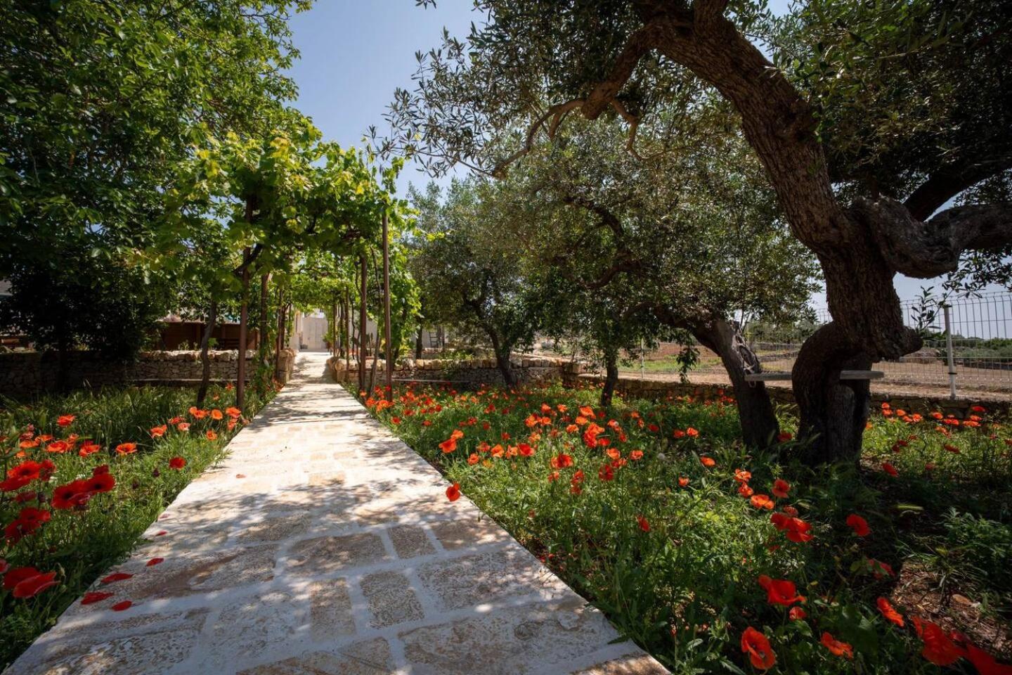 Valle D'Itria Trulli E Alcova Mikael 奇斯泰尼诺 外观 照片